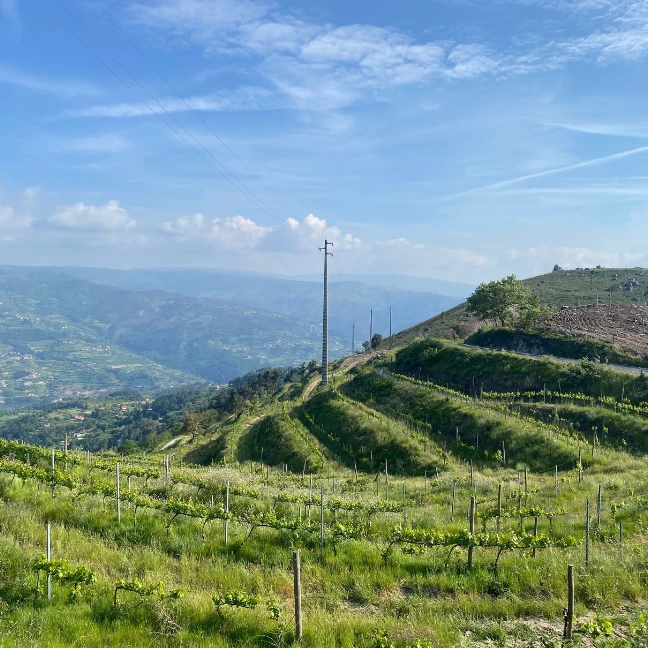 Feel & Soul - Quinta do Castanheiro - Activities and Visits