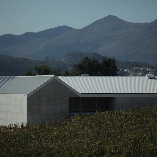 Aphros <span>Wine </span>