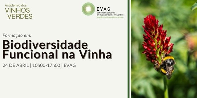Forma&ccedil;&atilde;o em Biodiversidade Funcional na Vinha  a 24 de Abril na EVAG