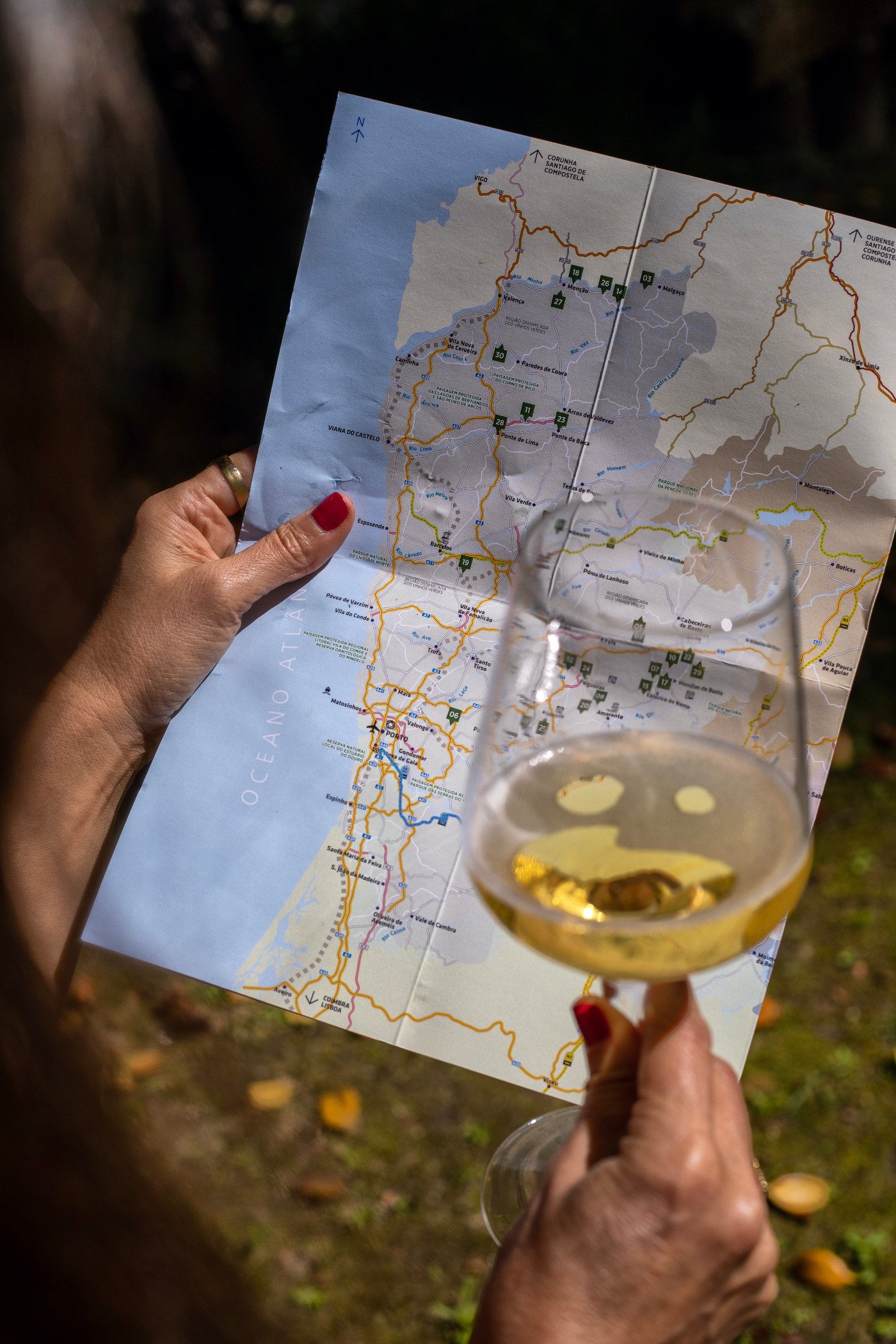 Jornalistas dos Estados Unidos e Espanha na Rota dos Vinhos Verdes